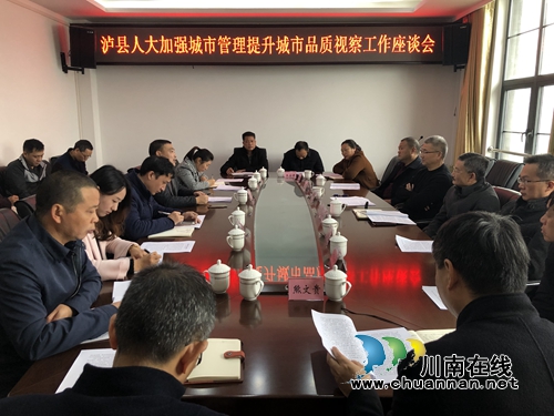 泸县人大开展加强城市管理提升城市品质视察工作(图4)