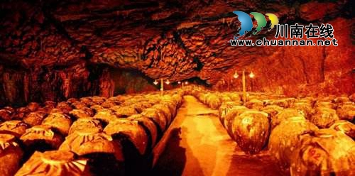 全国首部白酒文化保护地方性法规在泸州实施(图3)