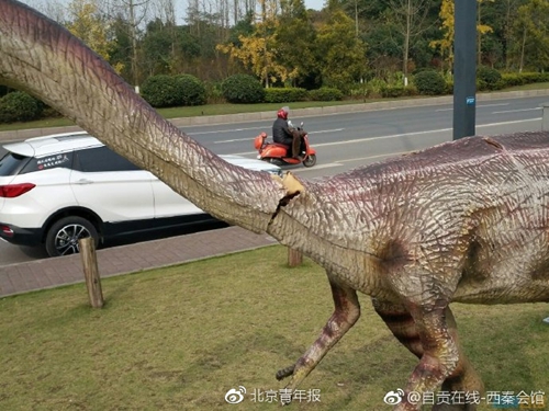 自贡恐龙像遭破坏&nbsp;官方：修复赶不上破坏进度(图1)