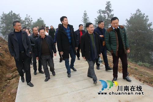 泸县潮河镇组织人大代表、政协委员开展乡村振兴工作调研(图1)