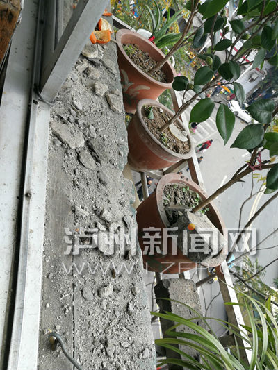 泸州一老楼砖头掉落砸伤老人&nbsp;打围施工排隐患(图5)