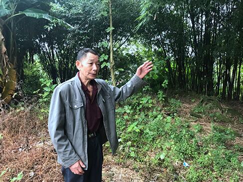 自贡：找到疑似32年前被抱走女婴&nbsp;将作DNA鉴定(图1)