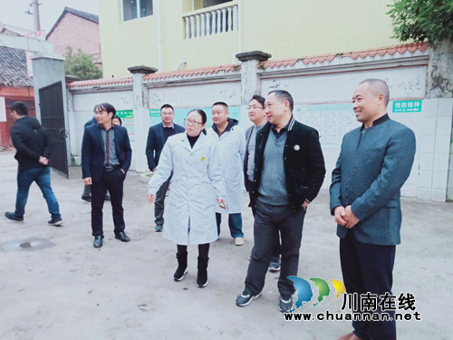 宜宾南溪区大坪乡创建省级卫生乡镇工作接受省级验收(图1)