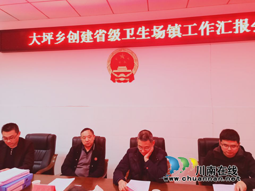 宜宾南溪区大坪乡创建省级卫生乡镇工作接受省级验收(图2)