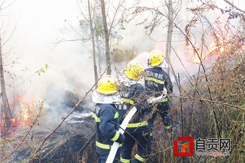 自贡马踏飞燕旁突发山火&nbsp;消防队员半小时扑灭(图1)