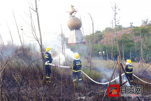 自贡马踏飞燕旁突发山火&nbsp;消防队员半小时扑灭(图2)
