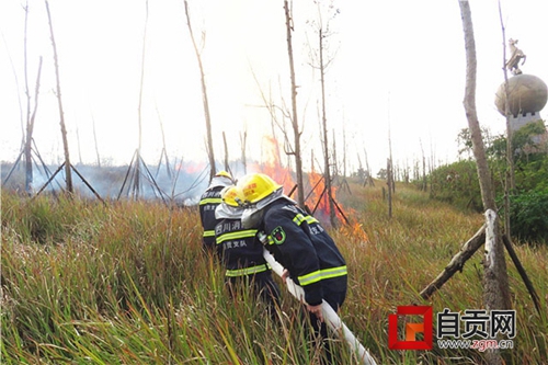 自贡马踏飞燕旁突发山火&nbsp;消防队员半小时扑灭(图3)