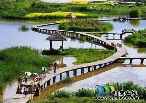 长江六桥：一座肩负泸州发展命脉之桥(图7)