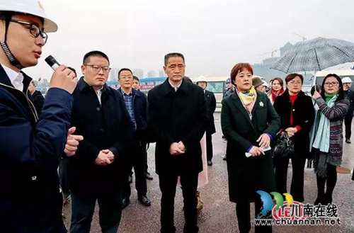 省市人大代表一行深度调研长湿新城门户形象(图1)