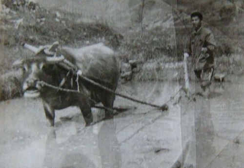 改革开放&nbsp;引领时代特色；档案工作&nbsp;见证发展进程(图6)