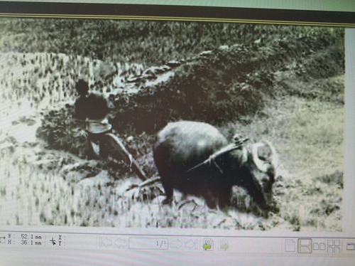 改革开放&nbsp;引领时代特色；档案工作&nbsp;见证发展进程(图5)