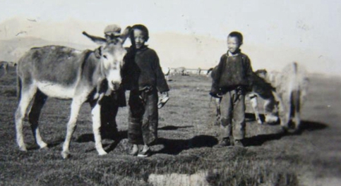 改革开放&nbsp;引领时代特色；档案工作&nbsp;见证发展进程(图8)