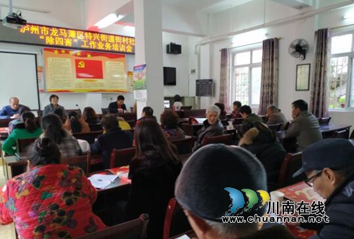 龙马潭区特兴街道街村社区开展“除四害”工作业务培训会(图1)