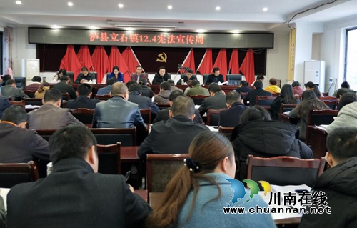 泸县立石镇召开《宪法》专题学习会(图1)