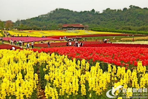 宜宾多个景点入选2018四川十大特色旅游品牌(图2)