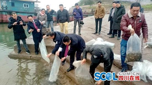 宜宾南溪区执行首例渔业违法生态补偿案(图1)