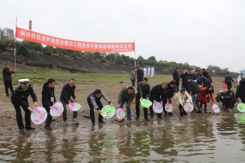 152000尾鱼苗&nbsp;泸州开展人工增殖放流活动(图1)