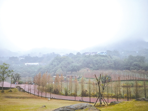 数据见证城市“变形记”&nbsp;项目推动发展脉搏(图5)