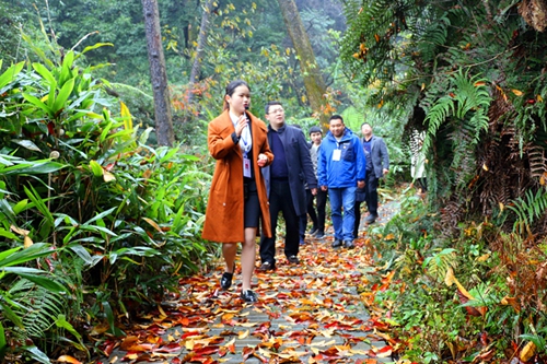 宜宾胜天红岩山创建国家4A级景区通过市级验收(图1)