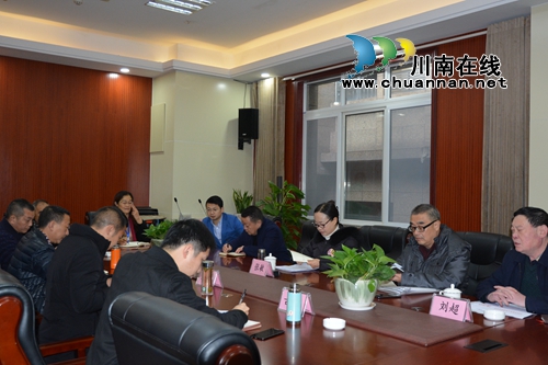 江阳区人大常委会张敏莅临张坝街道进行调研(图2)