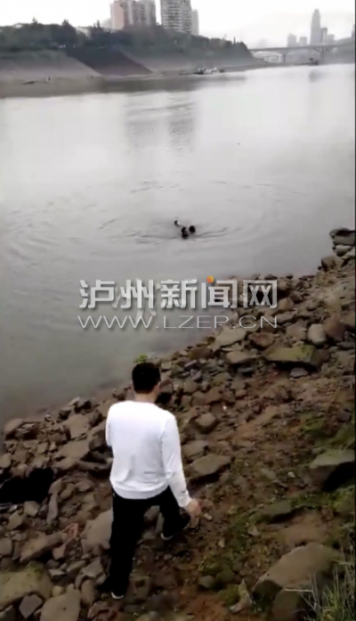 泸州：夫妻沱江边散步&nbsp;从刺骨江水中救起女子(图1)