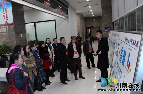 龙马潭区红星街道组织辖区“两代表一委员”开展视察调研活动(图1)