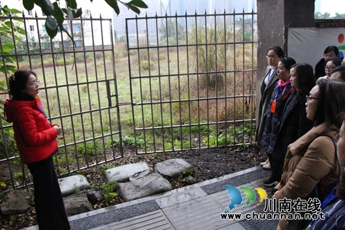 龙马潭区红星街道组织辖区“两代表一委员”开展视察调研活动(图3)