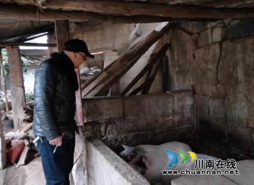 龙马潭区特兴街道积极开展非洲猪瘟防控宣传工作(图2) 龙马潭区特兴街道积极开展非洲猪瘟防控宣传工作(图2)