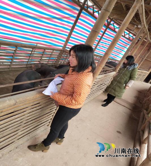 龙马潭区特兴街道积极开展非洲猪瘟防控宣传工作(图3) 龙马潭区特兴街道积极开展非洲猪瘟防控宣传工作(图3)