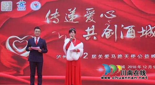 泸州举行第二届关爱马路天使公益晚会(图7)