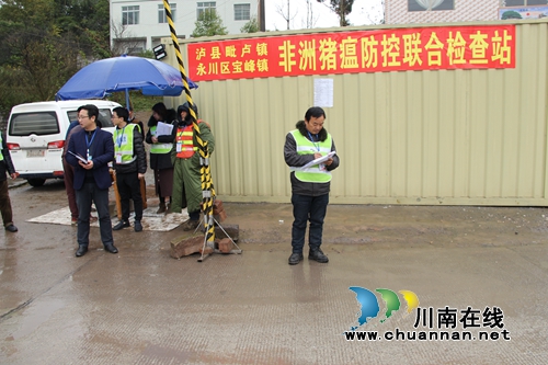 川渝“携手”&nbsp;筑牢非洲猪瘟联防联控屏障(图2)