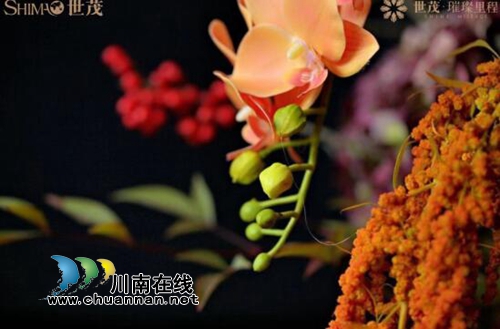 泸州世茂·璀璨里程璀璨情景示范区璀璨绽放！(图5)