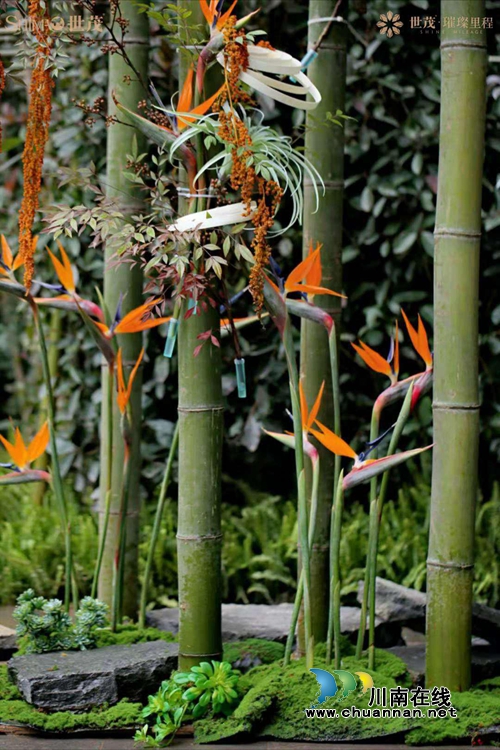 泸州世茂·璀璨里程璀璨情景示范区璀璨绽放！(图7)