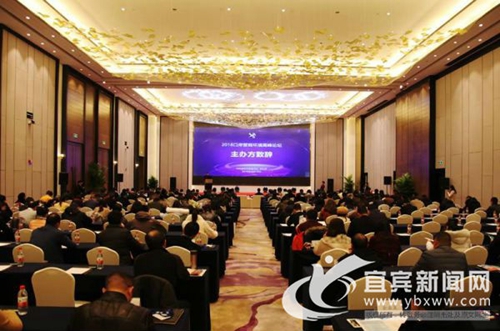 2018口岸营商环境高峰论坛在宜宾举行(图1)