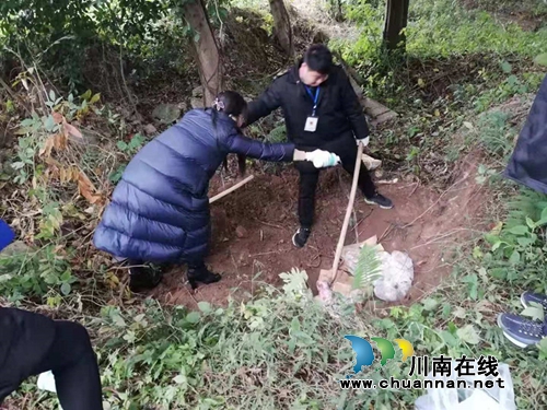 防控非洲猪瘟&nbsp;龙马潭区红星街道无害化销毁100斤冷冻猪肉(图1)