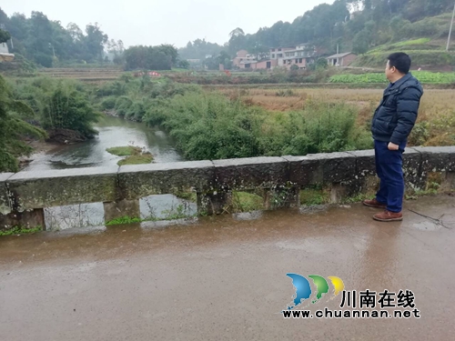 纳溪区棉花坡镇：人大代表守护绿水青山(图1)