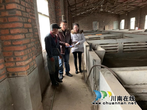 龙马潭区罗汉街道：开展多举措加强“非洲猪瘟”防控工作(图1)