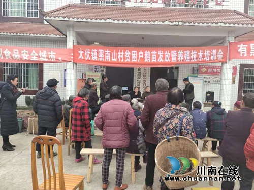 泸县太伏镇照南山村举行贫困户鹅苗发放暨养殖技术培训会(图3)
