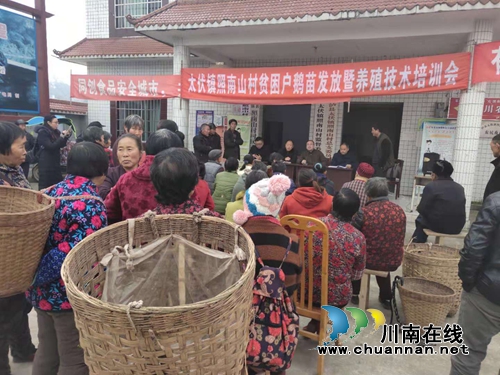 泸县太伏镇照南山村举行贫困户鹅苗发放暨养殖技术培训会(图2)
