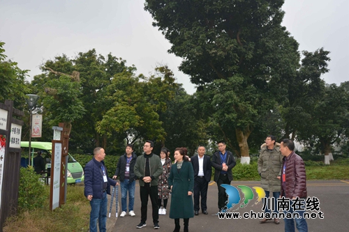 江阳区政协副主席徐志兰到张坝街道开展调研督导(图1)