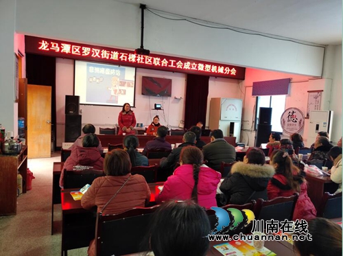 龙马潭区罗汉街道召开石樑社区联合工会换届选举大会(图1)