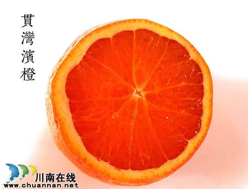 冬日诱惑：合江有种可以用吸管吃的橘子！(图3)
