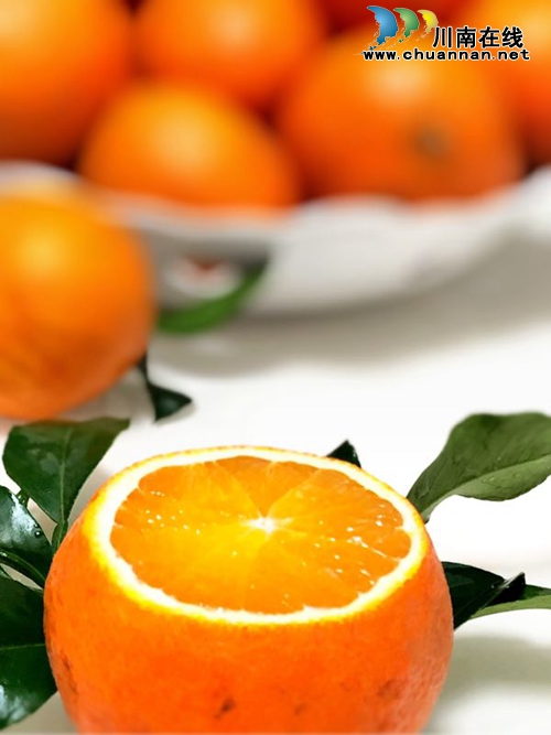 冬日诱惑：合江有种可以用吸管吃的橘子！(图4)