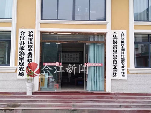 冬日诱惑：合江有种可以用吸管吃的橘子！(图8)