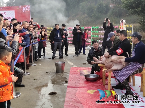 邂逅凤凰湖梦里水乡&nbsp;品年味文化·结幸福情缘(图3)