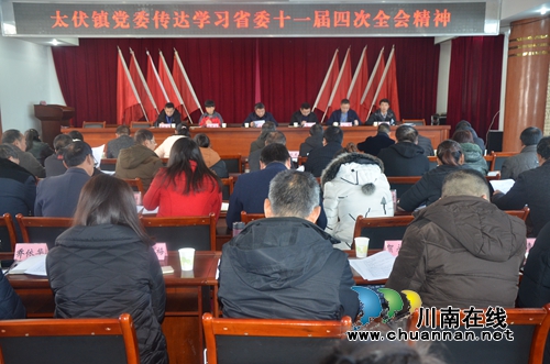 泸县太伏镇党委传达学习省委十一届四次全会精神(图1) 泸县太伏镇党委传达学习省委十一届四次全会精神(图1)