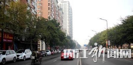 今日起&nbsp;内江大洲路临时占道停车泊位取消(图1)