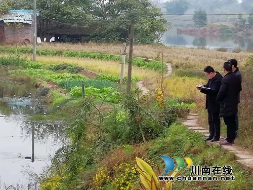 泸县立石镇开展环保及污水管网建设工作综合督查(图1)