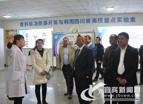 尼泊尔客人到宜宾考察调研茶产业合作事宜(图2)