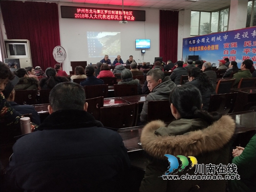 龙马潭区罗汉街道：人大代表述职评议&nbsp;自觉接受民众监督(图1)